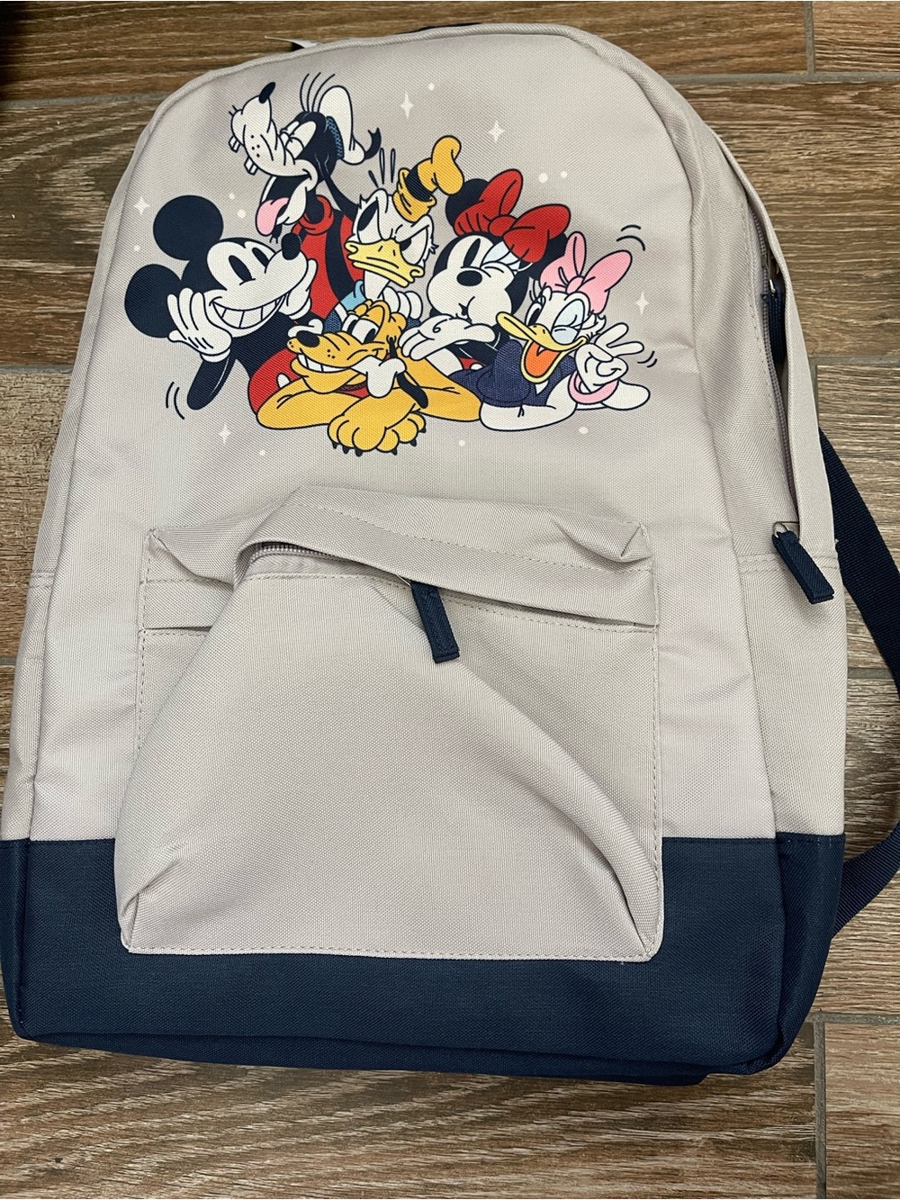 Disney Store Disney Characters Canvas Backpack